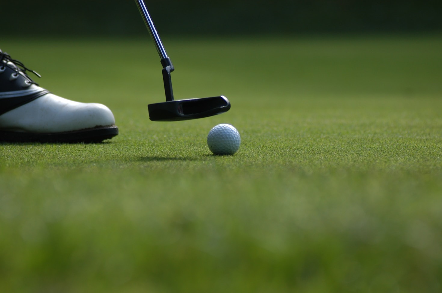 Welcome to CamPlaysGolf